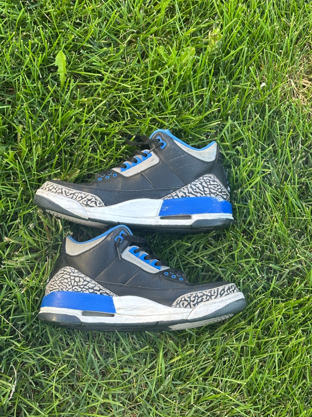 Jordan Black and Blue Retro Sneaker with Elephant Print